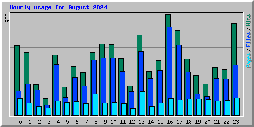 Hourly usage for August 2024