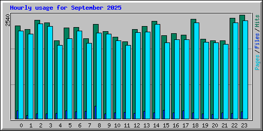 Hourly usage for September 2025