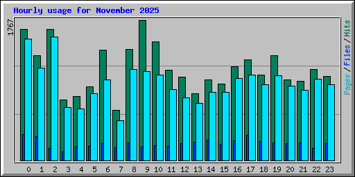 Hourly usage for November 2025