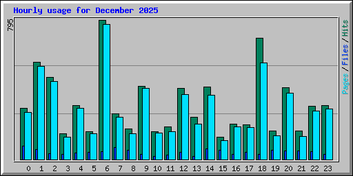 Hourly usage for December 2025