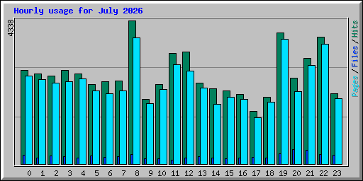 Hourly usage for July 2026