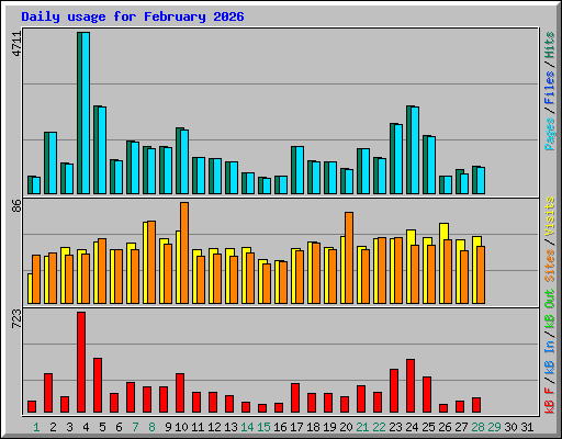 Daily usage for February 2026