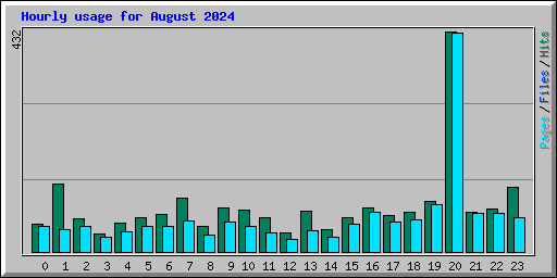 Hourly usage for August 2024