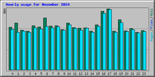 Hourly usage for November 2024