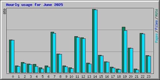 Hourly usage for June 2025