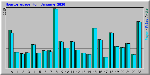 Hourly usage for January 2026