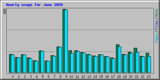 Hourly usage for June 2026