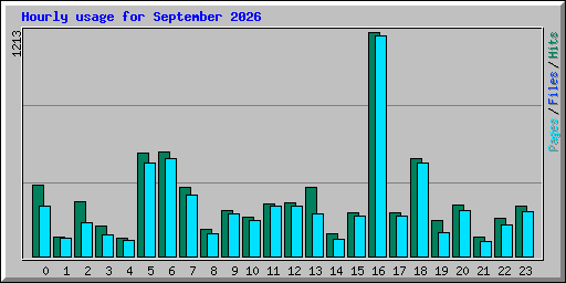 Hourly usage for September 2026